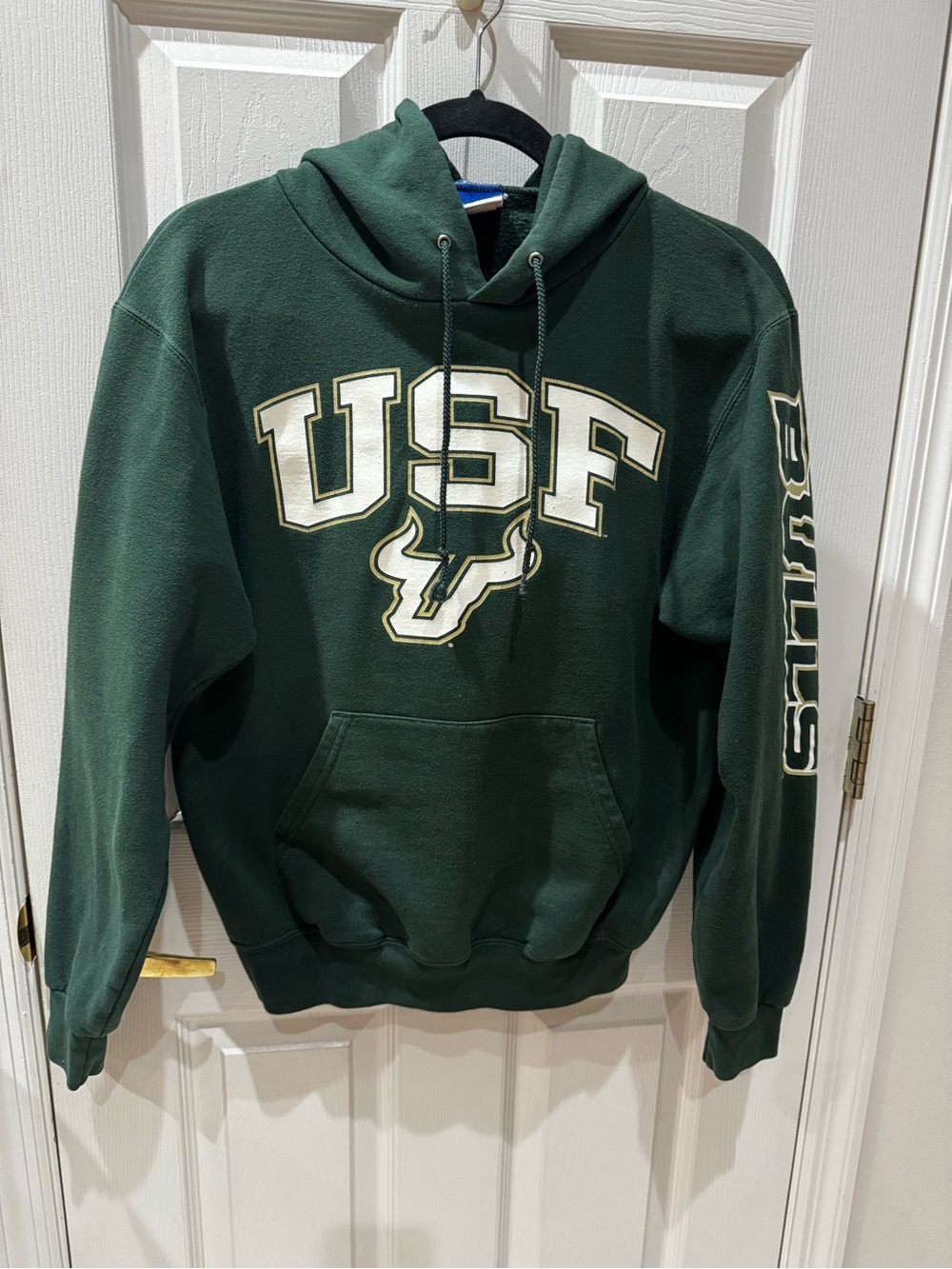 Champion Dark Green USF Pullover Hoodie with White and Gold Logo